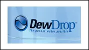 dew-drops
